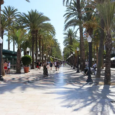 Apartment The Penthouse Sun&garden Alicante
